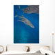 Whale Shark Swimming Blue Wall Decal Design 5