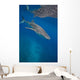 Whale Shark Swimming Blue Wall Decal Design 5