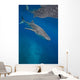 Whale Shark Swimming Blue Wall Decal Design 5