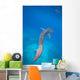 Whale Shark Swimming Blue Wall Decal Design 4