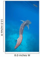 Whale Shark Swimming Blue Wall Decal Design 4
