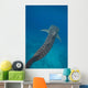 Whale Shark Swimming Blue Wall Decal Design 3