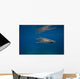 Whale Shark Swimming Blue Wall Decal Design 2