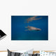 Whale Shark Swimming Blue Wall Decal Design 2