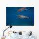 Whale Shark Swimming Blue Wall Decal Design 2