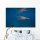 Whale Shark Swimming Blue Wall Decal Design 2