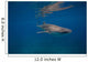 Whale Shark Swimming Blue Wall Decal Design 2
