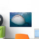Close-up Whale Shark Swimming Wall Decal