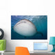 Close-up Whale Shark Swimming Wall Decal