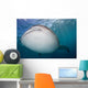 Close-up Whale Shark Swimming Wall Decal