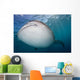 Close-up Whale Shark Swimming Wall Decal