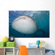 Close-up Whale Shark Swimming Wall Decal