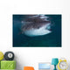 Whale Shark Feeding to Wall Decal Design 2