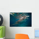 Whale Shark Feeding to Wall Decal Design 1
