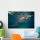Whale Shark Feeding to Wall Decal Design 1