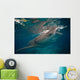 Whale Shark Feeding to Wall Decal Design 1