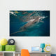 Whale Shark Feeding to Wall Decal Design 1
