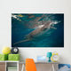 Whale Shark Feeding to Wall Decal Design 1
