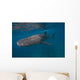 Whale Shark Swimming Blue Wall Decal Design 1