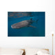 Whale Shark Swimming Blue Wall Decal Design 1