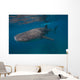 Whale Shark Swimming Blue Wall Decal Design 1