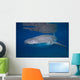 Whale Shark Shallow Blue Wall Decal
