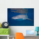 Whale Shark Shallow Blue Wall Decal