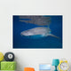 Whale Shark Shallow Blue Wall Decal