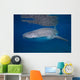 Whale Shark Shallow Blue Wall Decal