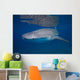 Whale Shark Shallow Blue Wall Decal