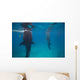 Whale Sharks Feeding beneath Wall Decal Design 2