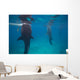 Whale Sharks Feeding beneath Wall Decal Design 2