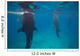 Whale Sharks Feeding beneath Wall Decal Design 2