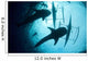 Whale Sharks Feeding beneath Wall Decal Design 1