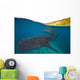 Whale Sharks Swimming Bohol Wall Decal Design 4