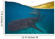 Whale Sharks Swimming Bohol Wall Decal Design 4