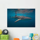Whale Sharks Swimming Bohol Wall Decal Design 2