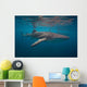 Whale Sharks Swimming Bohol Wall Decal Design 2