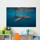 Whale Sharks Swimming Bohol Wall Decal Design 2