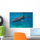 Whale Sharks Swimming Bohol Wall Decal Design 1