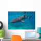Whale Sharks Swimming Bohol Wall Decal Design 1
