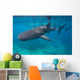Whale Sharks Swimming Bohol Wall Decal Design 1