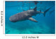 Whale Sharks Swimming Bohol Wall Decal Design 1