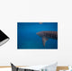 Whale Shark Swimming Bohol Wall Decal