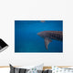 Whale Shark Swimming Bohol Wall Decal