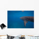 Whale Shark Swimming Bohol Wall Decal
