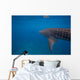 Whale Shark Swimming Bohol Wall Decal