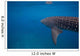 Whale Shark Swimming Bohol Wall Decal