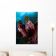 Barrel Sponge and Crinoids Wall Decal Design 2