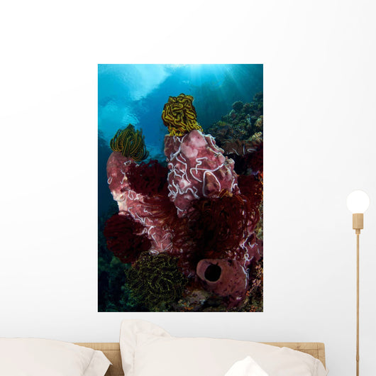 Barrel Sponge and Crinoids Wall Decal Design 2